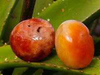Polished Carnelian Palm Stones x 24 From Madagascar - Toprock Gemstones and Minerals