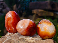 Polished Carnelian Palm Stones x 24 From Madagascar - Toprock Gemstones and Minerals