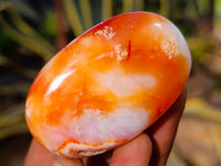 Polished Carnelian Palm Stones x 24 From Madagascar - Toprock Gemstones and Minerals