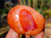 Polished Carnelian Palm Stones x 24 From Madagascar - Toprock Gemstones and Minerals
