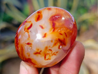 Polished Carnelian Palm Stones x 24 From Madagascar - Toprock Gemstones and Minerals