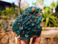 Natural Dioptase with Chrysocolla, Malachite and Shattuckite Specimens x 2 From Likasi, Congo - Toprock Gemstones and Minerals
