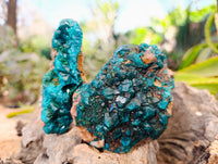 Natural Dioptase with Chrysocolla, Malachite and Shattuckite Specimens x 2 From Likasi, Congo - Toprock Gemstones and Minerals