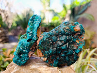 Natural Dioptase with Chrysocolla, Malachite and Shattuckite Specimens x 2 From Likasi, Congo - Toprock Gemstones and Minerals