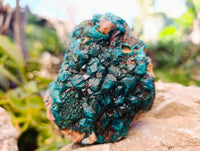 Natural Dioptase with Chrysocolla, Malachite and Shattuckite Specimens x 2 From Likasi, Congo - Toprock Gemstones and Minerals