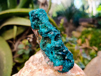 Natural Dioptase with Chrysocolla, Malachite and Shattuckite Specimens x 2 From Likasi, Congo - Toprock Gemstones and Minerals