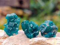 Natural Small Dioptase on Dolomite Matrix Specimens x 35 From Likasi, Congo - Toprock Gemstones and Minerals