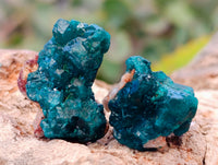 Natural Small Dioptase on Dolomite Matrix Specimens x 35 From Likasi, Congo - Toprock Gemstones and Minerals