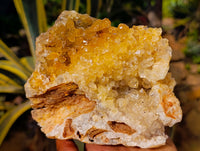 Natural Orange and Golden Limonite Quartz Clusters x 2 From Solwezi, Zambia - Toprock Gemstones and Minerals