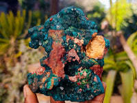 Natural Dioptase On Dolomite with Malachite Specimens x 2 From Likasi, Congo - Toprock Gemstones and Minerals