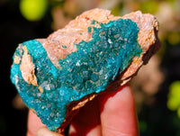 Natural Dioptase on Dolomite Matrix Specimens x 12 From Likasi, Congo - Toprock Gemstones and Minerals