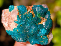 Natural Dioptase on Dolomite Matrix Specimens x 12 From Likasi, Congo - Toprock Gemstones and Minerals