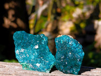 Natural Dioptase on Dolomite Matrix Specimens x 12 From Likasi, Congo - Toprock Gemstones and Minerals