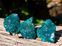 Natural Dioptase on Dolomite Matrix Specimens x 12 From Likasi, Congo - Toprock Gemstones and Minerals