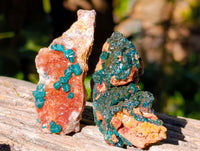 Natural Dioptase on Dolomite Matrix Specimens x 12 From Likasi, Congo - Toprock Gemstones and Minerals