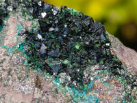 Natural Libethenite Crystals On Dolomite Matrix Specimens x 4 From Shituru, Congo - Toprock Gemstones and Minerals