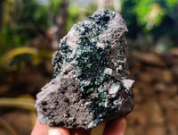 Natural Libethenite Crystals On Dolomite Matrix Specimens x 6 From Shituru, Congo - Toprock Gemstones and Minerals