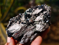 Natural Libethenite Crystals On Dolomite Matrix Specimens x 6 From Shituru, Congo - Toprock Gemstones and Minerals