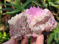 Natural Rare Rhodocalcite Specimens x 2 From Congo - Toprock Gemstones and Minerals