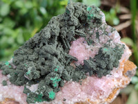 Natural Rare Rhodocalcite Specimens x 2 From Congo - Toprock Gemstones and Minerals