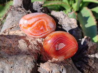 Polished Carnelian Palm Stones x 24 From Madagascar - Toprock Gemstones and Minerals