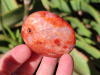Polished Carnelian Palm Stones x 24 From Madagascar - Toprock Gemstones and Minerals