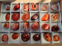 Polished Carnelian Palm Stones x 24 From Madagascar - Toprock Gemstones and Minerals