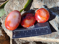 Polished Carnelian Palm Stones x 24 From Madagascar - Toprock Gemstones and Minerals