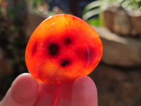 Polished Carnelian Palm Stones x 24 From Madagascar - Toprock Gemstones and Minerals