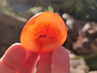 Polished Carnelian Palm Stones x 24 From Madagascar - Toprock Gemstones and Minerals