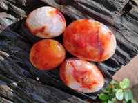 Polished Carnelian Palm Stones x 24 From Madagascar - Toprock Gemstones and Minerals
