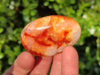Polished Carnelian Palm Stones x 24 From Madagascar - Toprock Gemstones and Minerals
