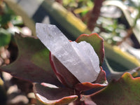 Natural Clear Quartz Crystals x 3 Kg Lot From Zambia - Toprock Gemstones and Minerals