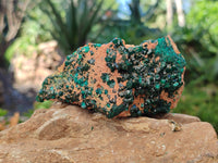 Natural Dioptase on Dolomite Matrix Specimens x 2 From Likasi, Congo - Toprock Gemstones and Minerals