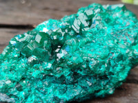 Natural Dioptase on Dolomite Matrix Specimens x 2 From Likasi, Congo - Toprock Gemstones and Minerals