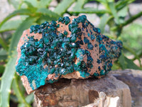 Natural Dioptase on Dolomite Matrix Specimens x 2 From Likasi, Congo - Toprock Gemstones and Minerals