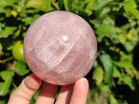 Polished Star Rose Quartz Spheres x 2 From Ambatondrazaka, Madagascar - Toprock Gemstones and Minerals