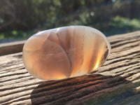 Polished Red Sashe River Agate Palm Stones x 6 From Zimbabwe - Toprock Gemstones and Minerals