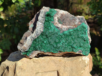 Natural Ball Malachite On Quartz Matrix Specimens x 1 From Mindigi Mine, Congo - Toprock Gemstones and Minerals