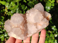 Natural Cactus Flower Amethyst Spirit Clusters x 4 From South Africa - Toprock Gemstones and Minerals