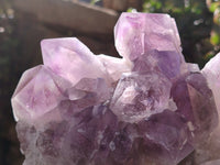 Natural Jacaranda Amethyst Quartz Cluster x 3 From Mumbwa, Zambia - Toprock Gemstones and Minerals