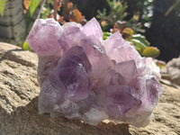 Natural Jacaranda Amethyst Quartz Cluster x 3 From Mumbwa, Zambia - Toprock Gemstones and Minerals