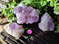 Natural Jacaranda Amethyst Quartz Cluster x 3 From Mumbwa, Zambia - Toprock Gemstones and Minerals
