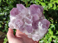 Natural Jacaranda Amethyst Quartz Cluster x 3 From Mumbwa, Zambia - Toprock Gemstones and Minerals