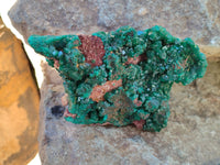 Natural Dioptase On Dolomite Specimens x 2 From Likasi, Congo - Toprock Gemstones and Minerals