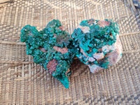 Natural Dioptase On Dolomite Specimens x 2 From Likasi, Congo - Toprock Gemstones and Minerals