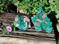 Natural Dioptase On Dolomite Specimens x 2 From Likasi, Congo - Toprock Gemstones and Minerals