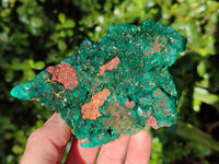 Natural Dioptase On Dolomite Specimens x 2 From Likasi, Congo - Toprock Gemstones and Minerals