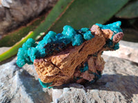 Natural Dioptase On Dolomite Specimens x 2 From Likasi, Congo - Toprock Gemstones and Minerals