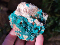 Natural Dioptase On Dolomite Specimens x 2 From Likasi, Congo - Toprock Gemstones and Minerals
